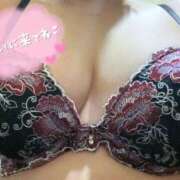 ヒメ日記 2025/02/25 10:56 投稿 杏珠-あんじゅ【FG系列】 ほんとうの人妻　柏店