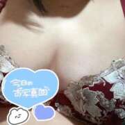 ヒメ日記 2025/04/08 12:23 投稿 杏珠-あんじゅ【FG系列】 ほんとうの人妻　柏店