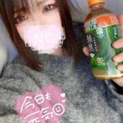 ヒメ日記 2025/02/01 09:56 投稿 杏珠-あんじゅ【FG系列】 ほんとうの人妻　松戸店