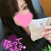 ヒメ日記 2025/05/16 09:58 投稿 杏珠-あんじゅ【FG系列】 ほんとうの人妻　松戸店