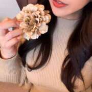 ヒメ日記 2025/06/23 09:34 投稿 みずほ チューリップ福井本館