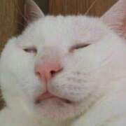 ヒメ日記 2025/03/07 16:47 投稿 チカ EN