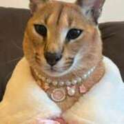 ヒメ日記 2025/06/15 03:46 投稿 チカ EN