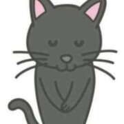 ヒメ日記 2025/08/20 11:10 投稿 チカ EN