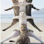 ヒメ日記 2025/09/17 14:45 投稿 チカ EN