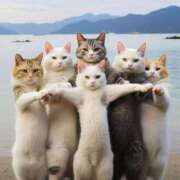 ヒメ日記 2025/09/19 15:51 投稿 チカ EN