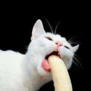 ヒメ日記 2025/10/07 22:02 投稿 チカ EN