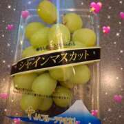 ヒメ日記 2025/10/08 15:56 投稿 チカ EN