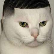 ヒメ日記 2025/11/21 17:38 投稿 チカ EN