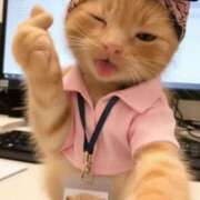 ヒメ日記 2025/12/16 17:59 投稿 チカ EN