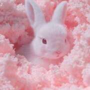 ヒメ日記 2026/02/06 17:55 投稿 チカ EN