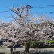 ヒメ日記 2026/04/07 13:55 投稿 チカ EN