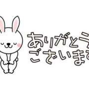 ヒメ日記 2025/04/09 06:44 投稿 さき タレント倶楽部Around40