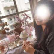 ヒメ日記 2025/04/01 17:44 投稿 みずほ チューリップ福井別館