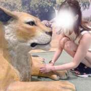 ヒメ日記 2025/09/22 01:10 投稿 一条あんじゅ メンズエステ葛西＠彼女はエステシャン