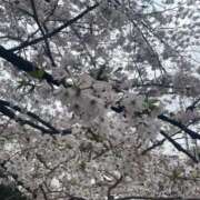 ヒメ日記 2026/04/03 20:14 投稿 一条あんじゅ メンズエステ葛西＠彼女はエステシャン