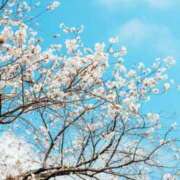 ヒメ日記 2025/03/28 07:35 投稿 新人・凛(りん) グランドオペラ福岡