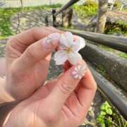 ヒメ日記 2025/04/04 17:34 投稿 新人・凛(りん) グランドオペラ福岡