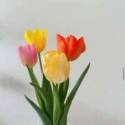 ヒメ日記 2025/04/06 08:22 投稿 新人・凛(りん) グランドオペラ福岡