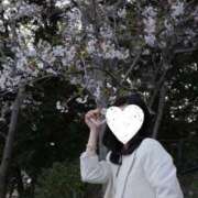 ヒメ日記 2025/04/09 20:41 投稿 新人・凛(りん) グランドオペラ福岡