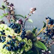 ヒメ日記 2025/06/01 13:41 投稿 新人・凛(りん) グランドオペラ福岡