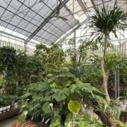 ヒメ日記 2025/06/08 15:51 投稿 新人・凛(りん) グランドオペラ福岡