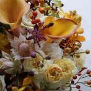 ヒメ日記 2025/07/06 14:02 投稿 新人・凛(りん) グランドオペラ福岡