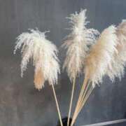 ヒメ日記 2025/07/10 12:51 投稿 新人・凛(りん) グランドオペラ福岡