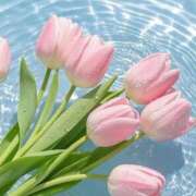 ヒメ日記 2025/07/25 08:41 投稿 新人・凛(りん) グランドオペラ福岡