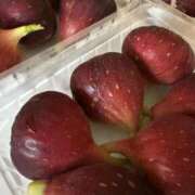 ヒメ日記 2025/09/21 22:27 投稿 新人・凛(りん) グランドオペラ福岡