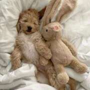 ヒメ日記 2025/09/27 00:34 投稿 新人・凛(りん) グランドオペラ福岡