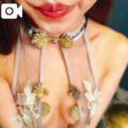 ヒメ日記 2025/03/31 02:38 投稿 まゆ 性の極み 技の伝道師 Ver.新横浜店