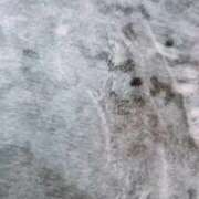 ヒメ日記 2025/10/27 21:48 投稿 まゆ 性の極み 技の伝道師 Ver.新横浜店