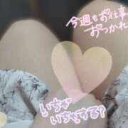 ヒメ日記 2025/01/31 23:59 投稿 ありさ 僕らのぽっちゃリーノin大宮