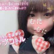 ヒメ日記 2025/01/29 15:11 投稿 ありさ 僕らのぽっちゃリーノin野田