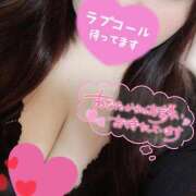 ヒメ日記 2025/02/08 11:20 投稿 ありさ 僕らのぽっちゃリーノin野田