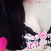 ヒメ日記 2025/01/11 13:52 投稿 ありさ 僕らのぽっちゃリーノin春日部