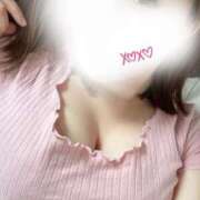 ヒメ日記 2025/03/15 17:32 投稿 椎名いつき AJ DOLLS(エージェイドールズ)