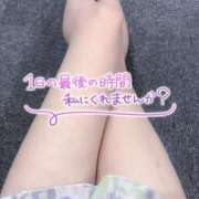 ヒメ日記 2024/12/15 18:09 投稿 のぞみ 新宿プチドール