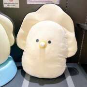 ヒメ日記 2024/12/18 19:59 投稿 のぞみ 新宿プチドール