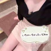 ヒメ日記 2024/12/29 14:32 投稿 のぞみ 新宿プチドール