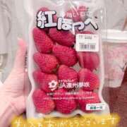 ヒメ日記 2025/02/25 15:59 投稿 のぞみ 新宿プチドール