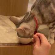 ヒメ日記 2025/06/06 22:25 投稿 のぞみ 新宿プチドール