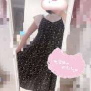 ヒメ日記 2025/07/13 14:29 投稿 のぞみ 新宿プチドール