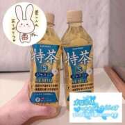 ヒメ日記 2026/04/05 15:21 投稿 のぞみ 新宿プチドール