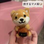 のぞみ プチプレゼント🎁 新宿プチドール