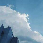 ヒメ日記 2025/12/23 14:09 投稿 ふみ 新宿プチドール