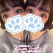 ヒメ日記 2025/02/05 07:09 投稿 いずみ 新宿プチドール