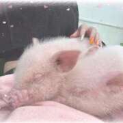 ヒメ日記 2025/08/22 21:29 投稿 いずみ 新宿プチドール