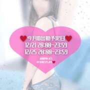 いずみ 12/22,25💋 新宿プチドール